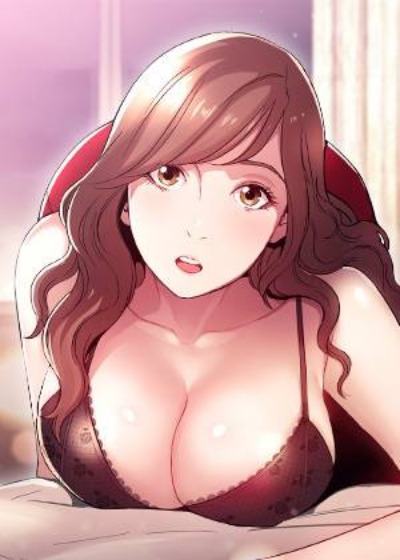 钢之炼金术师 封面